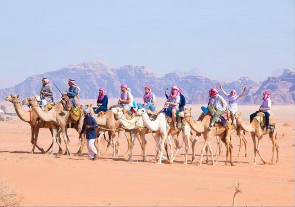 Bedouin Adventure & Tours Hotel Wadi Rum Buitenkant foto